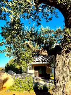 Iannuzzi Casa Vacanze - 3