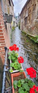 Le Clos de la Risle - Quartier Historique - Pont-Audemer - 8