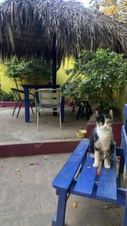 Shalom Backpacker Hostel - 1