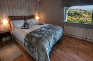 Willan Cottage - Portrush - 9