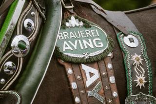 Gasthof zur Post - 1