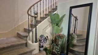 Un nid sur les toits face au palais des papes - 9