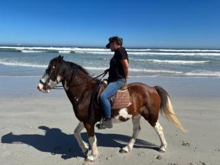 Born to Ride Safari & Beach Horse Rides - Yzerfontein - 3