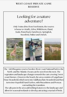 Born to Ride Safari & Beach Horse Rides - Yzerfontein - 1