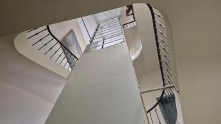 Un nid sur les toits face au palais des papes - 8