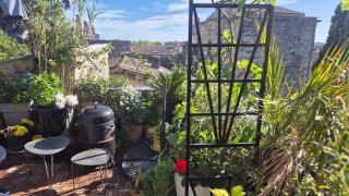 Un nid sur les toits face au palais des papes - 1