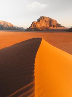 Wadi Rum Moon & Tours - Wadi Rum - 7