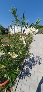 Konténer kulcsosház - 7