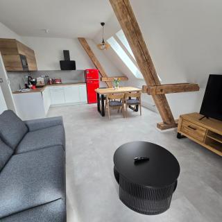 Ela Apartments Farní - Skalná - 4