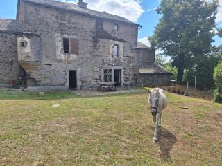 Le Prieuré de Saint Sauveur - Comps-la-Grand-Ville - 0
