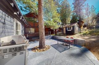 The Summit at Sherwood ~ Dog-friendly cabin with fenced yard, patio, grill, & furnished deck - 7