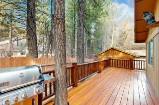 Craftsman Hideaway ~ Cabin near the lake and zoo with fireplace, full kitchen, patio, & BBQ - 2