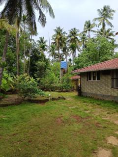 Tropical Whisper - 3