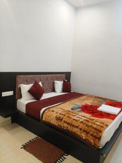 Apex resort - Pushkar - 5