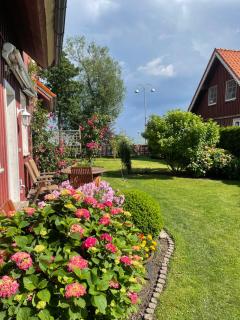 Apartamentai Pamario juosta - Juodkrantė - 6