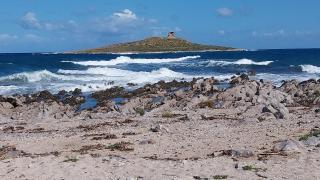 Caterina - Isola delle Femmine - 8