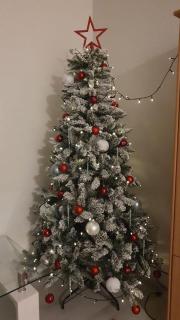 Sweetlapland homes - Rovaniemi - 2
