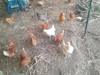 Camping car au bord de l eau - 8