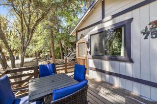 Bear Forest Cabin - Ultra Relaxing Sugarloaf Cottage - 3