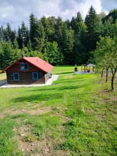 Chata pod lasem - - 7