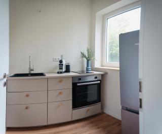 Boutique Suite by the Park w Parking - Celle - 8