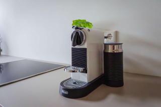 Boutique Suite by the Park w Parking - Celle - 2