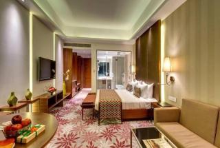 Hotel EBONY SUITES Near Delhi Airport - Neu-Delhi - 6