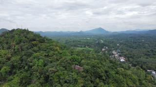 Elephant vale - Kegalle - 3