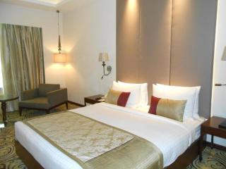 Hotel EBONY SUITES Near Delhi Airport - 5