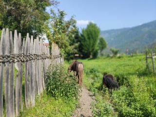 Maurerhof Apartments Kronplatz - St. Lorenzen - 8