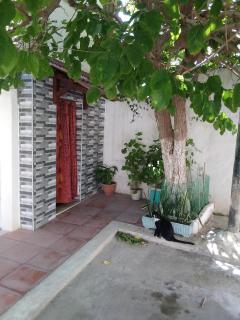 Casa Del Amor - Al Karm - 3
