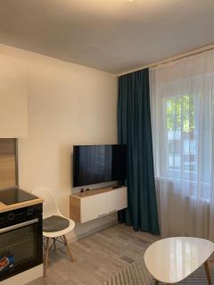 Modern & Cozy Apartment- Sarajevo Centar - Sarajevo - 8