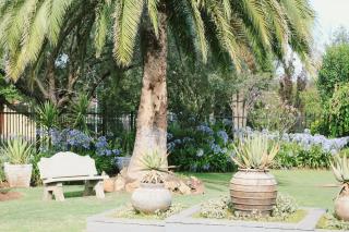The Baobab On Castalia - Bloemfontein - 2