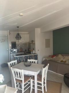 Résidence copacabana Logement T3 piscine privée et plage à 30m - 8