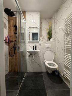 Apartament 2 camere - Baia Mare - 2