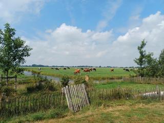 Retro caravan het Uiltje nabij het Sneekermeer - Terzool - 1