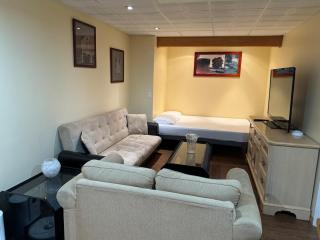 Spacious and beautiful lower Apartment - Chestermere - 6