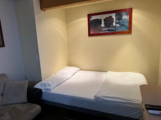 Spacious and beautiful lower Apartment - Chestermere - 3