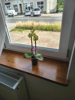 Apartamenty Stara Cegła - Zgorzelec - 2