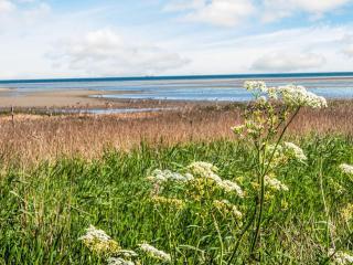 5 star holiday home in Ørsted - 4