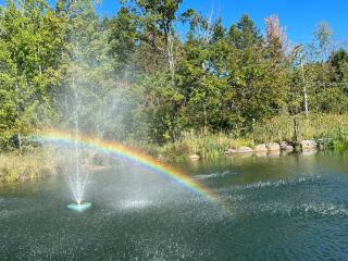 End of the Rainbow -  - 8