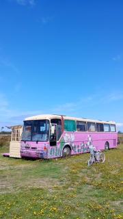 Bus Casa en observatorio de aves - Puerto Montt - 0