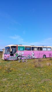 Bus Casa en observatorio de aves - Puerto Montt - 9