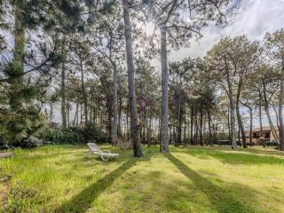 Maison près plage, terrasse, barbecue, Biscarrosse - FR-1-521-234 - 6