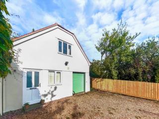 Bay Tree - Sturminster Newton - 0