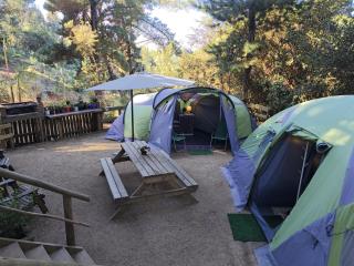 Glamping Puertecillo Surf & Camp - 5