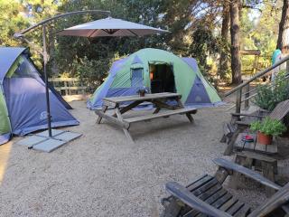 Glamping Puertecillo Surf & Camp - 1