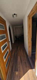 Studio Šumska prica - 4