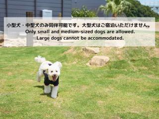 AWAI DOG STAY - Vacation STAY 74949v - Awaji - 9