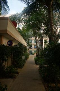RENOVATED 1 Bedroom Condo in Park Lane - Jomtien Beach - 1